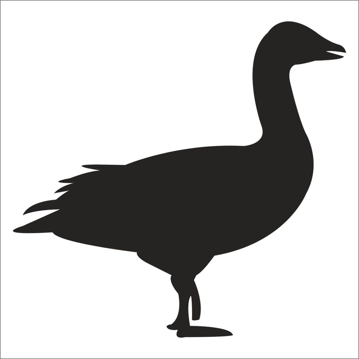 ÖRDEK FOLYO STİCKER