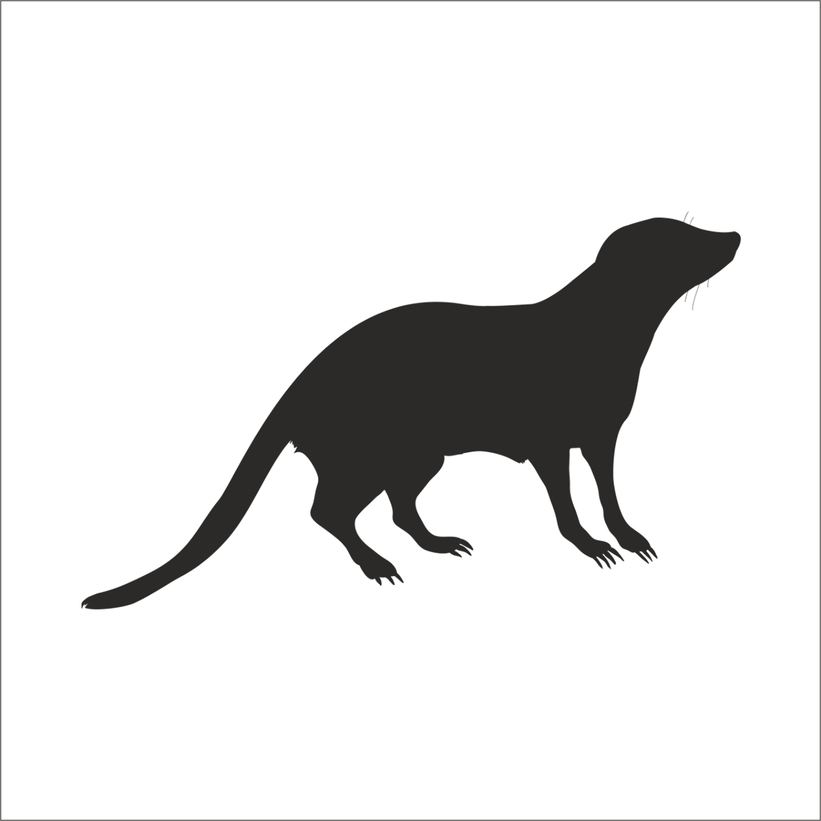 SANSAR FOLYO STİCKER