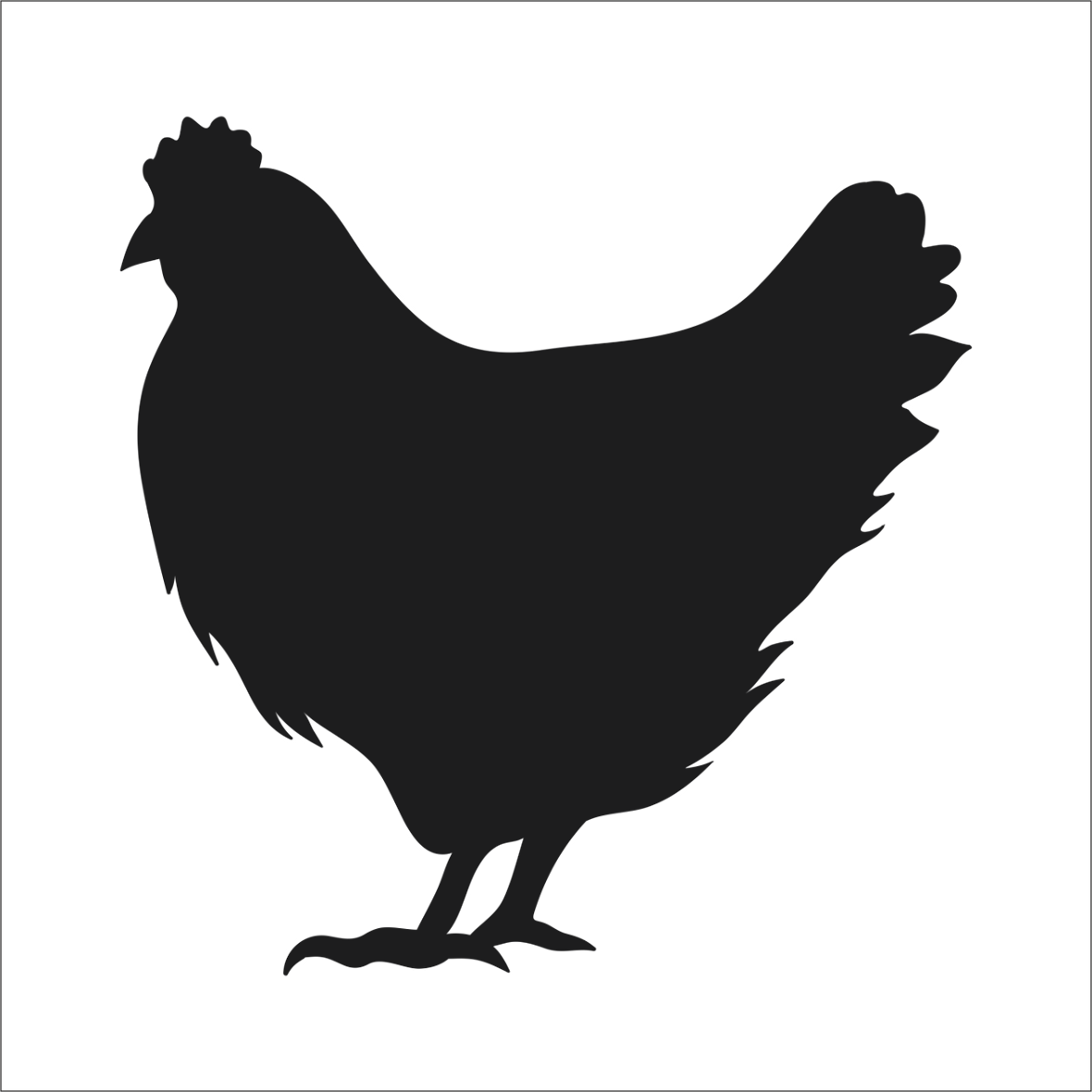 TAVUK  FOLYO STİCKER