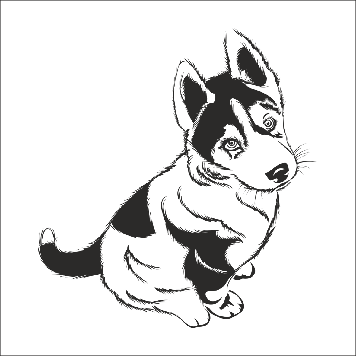 YAVRU KURT FOLYO STİCKER