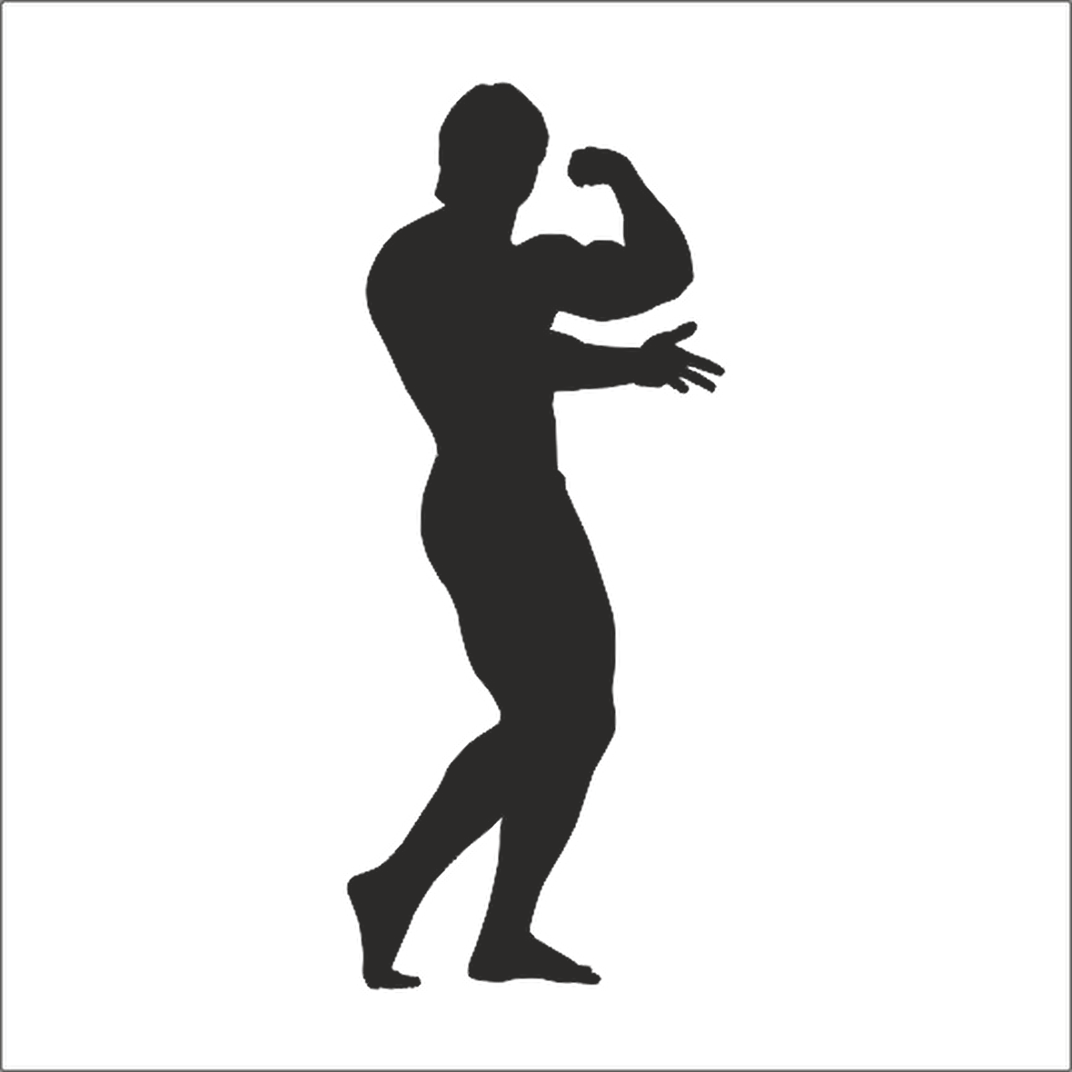 BODY GYM FOLYO STİCKER