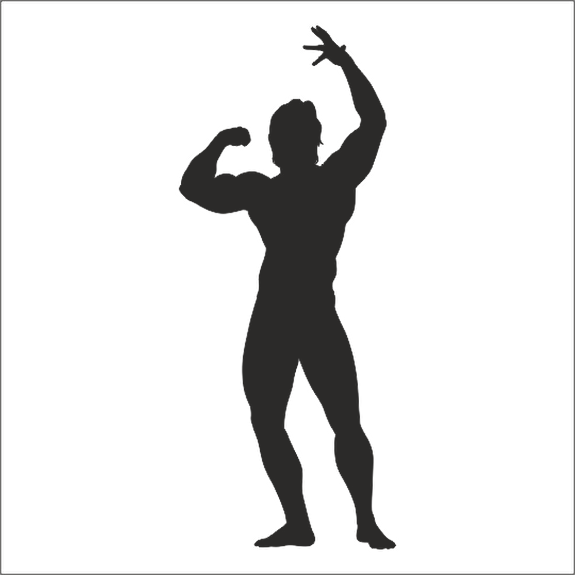 BODY GYM FOLYO STİCKER