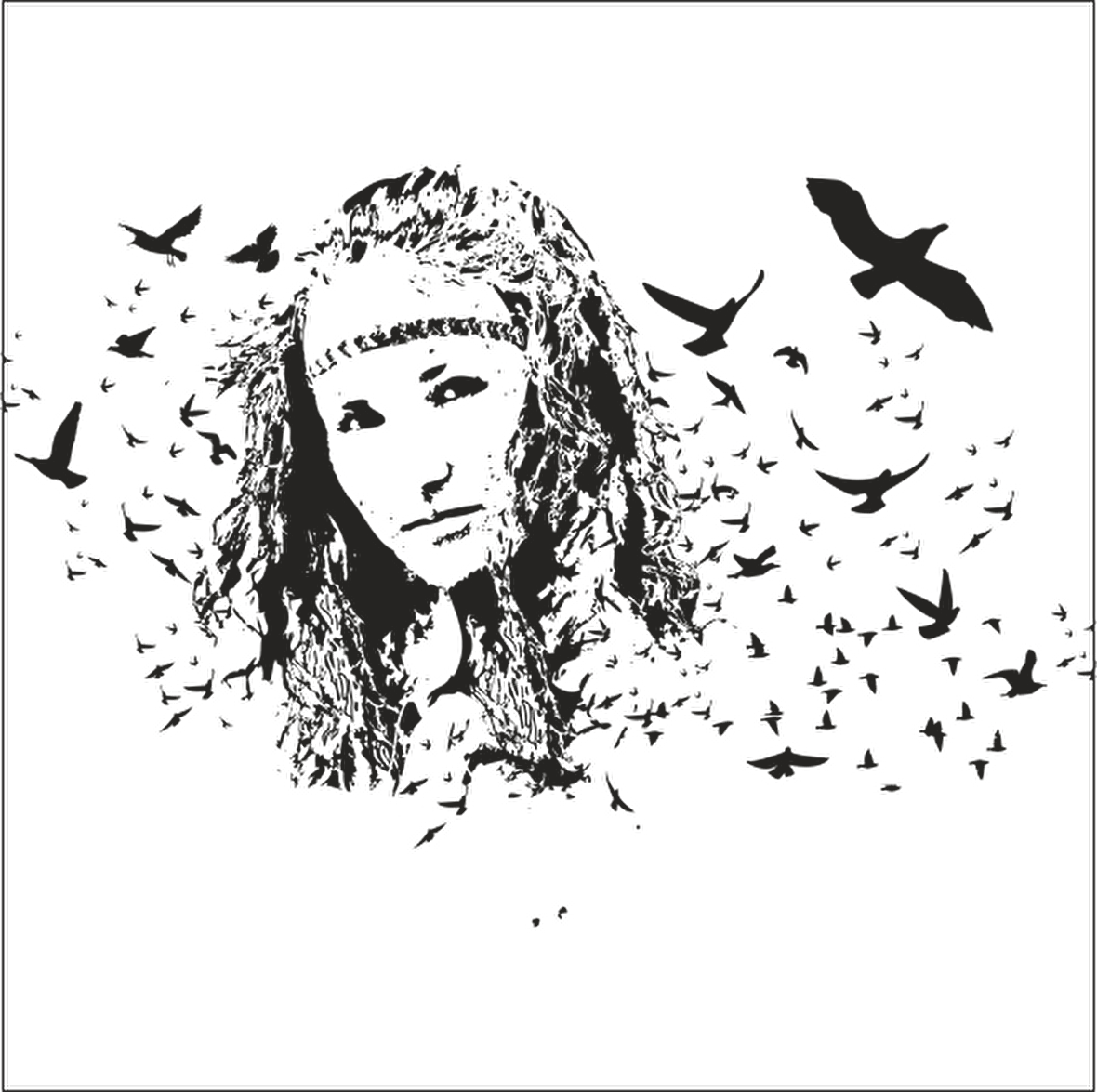 KIZILDERİLİ FOLYO STİCKER