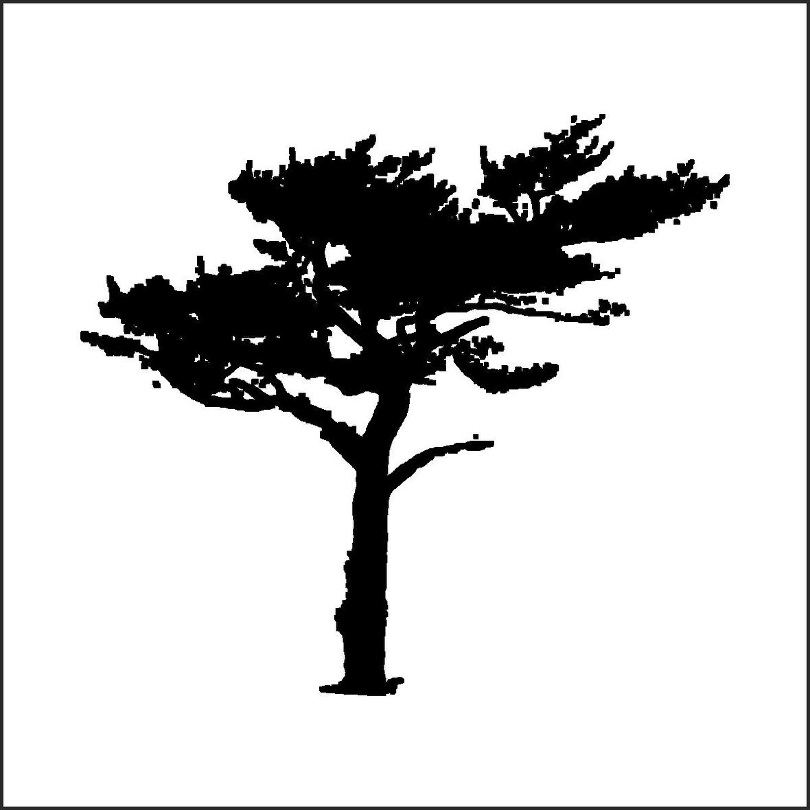 AĞAÇ VE GÜL RESİMLERİ FOLYO STİCKER