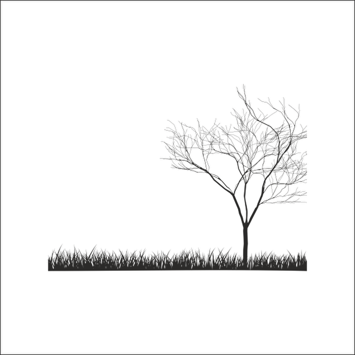 AĞAÇ VE GÜL RESİMLERİ