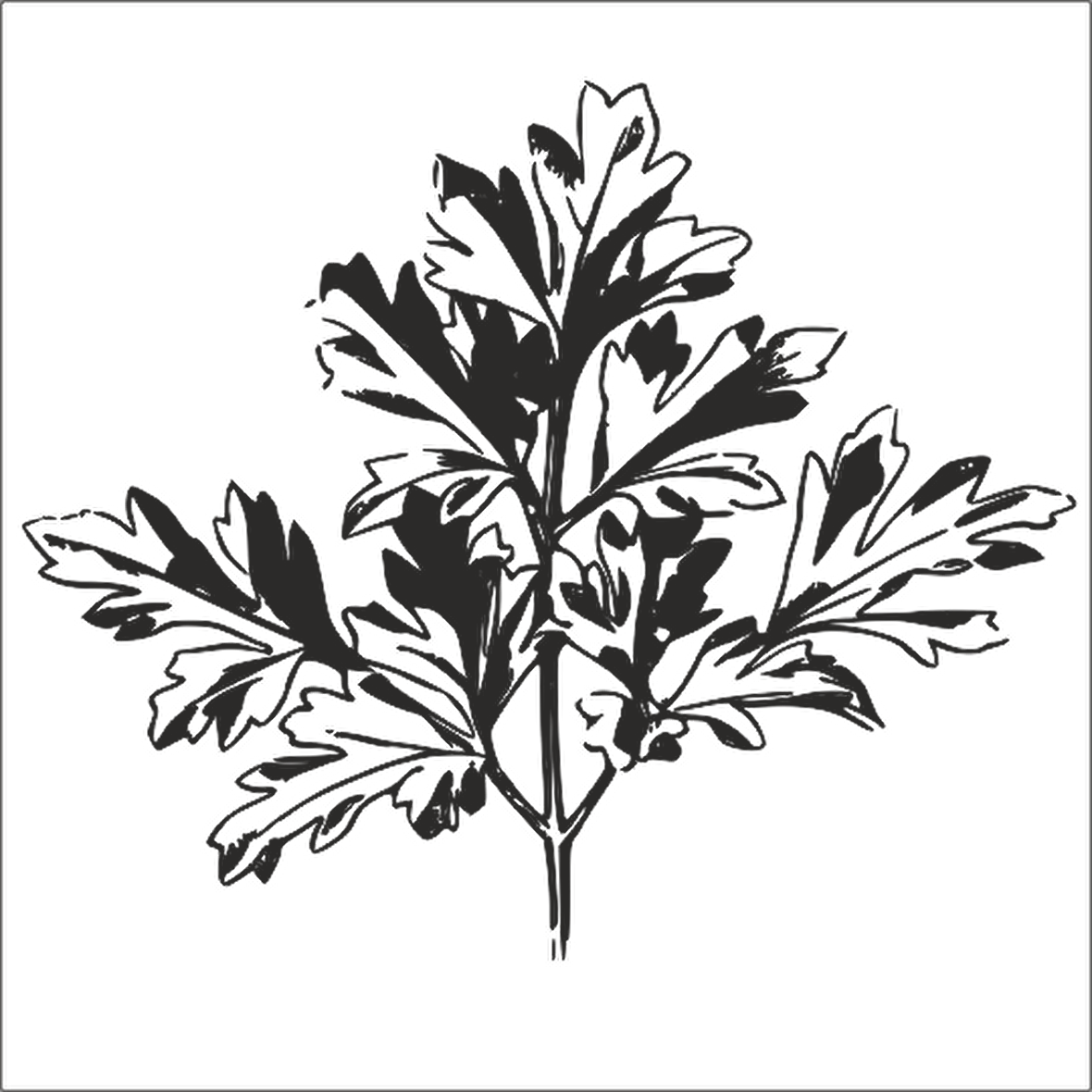 AĞAÇ VE GÜL RESİMLERİ