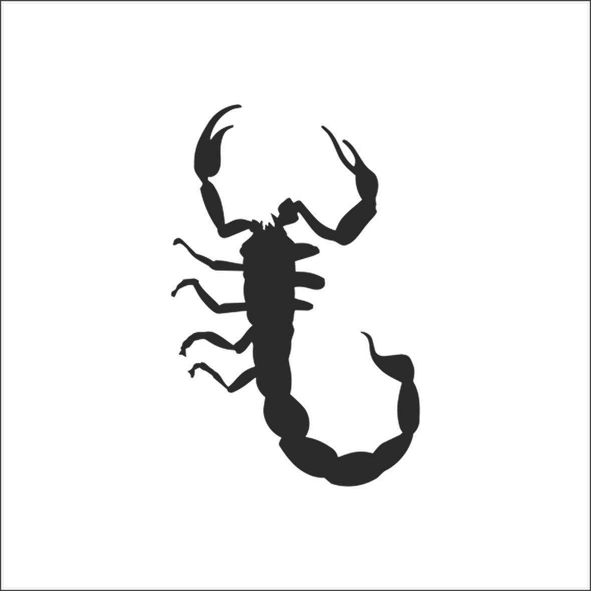 AKREP  FOLYO STİCKER