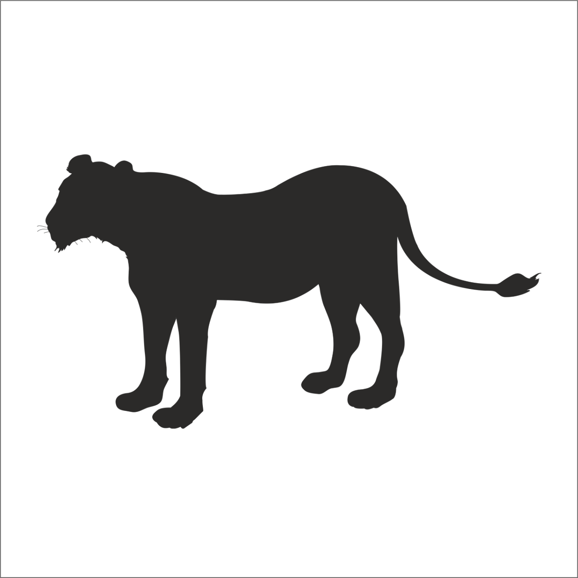 ASLAN FOLYO STİCKER