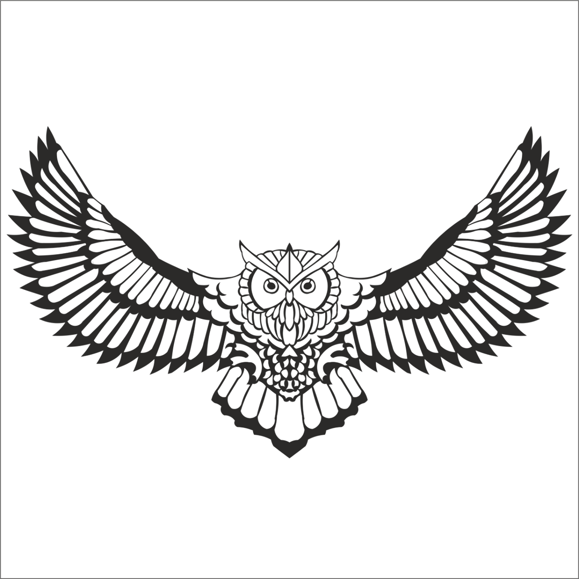 BAYKUŞ FOLYO STİCKER