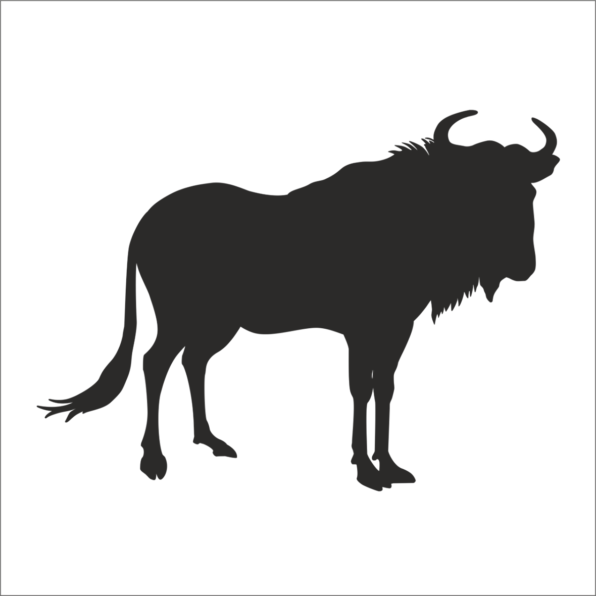 BUFALO FOLYO STİCKER