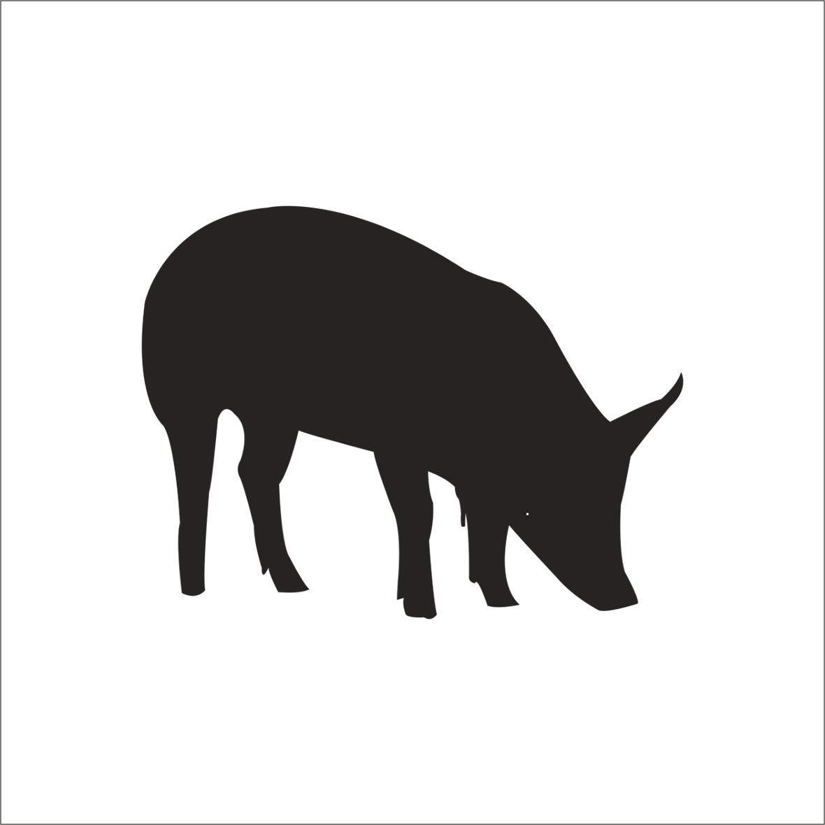 DOMUZ  FOLYO STİCKER