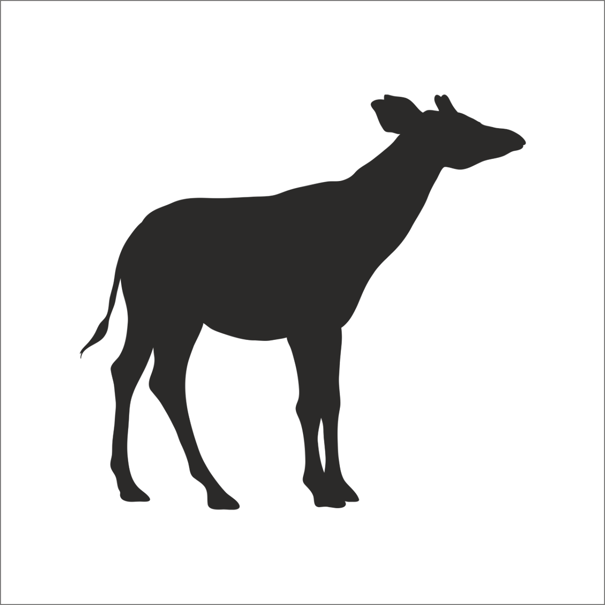 GEYİK FOLYO STİCKER