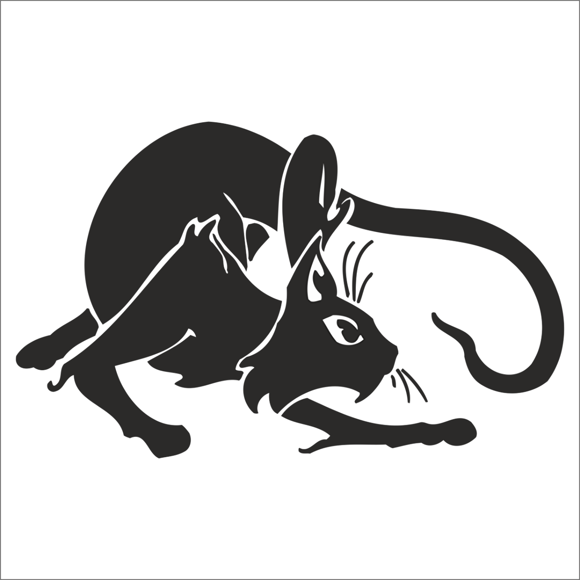 KEDİ  FOLYO STİCKER