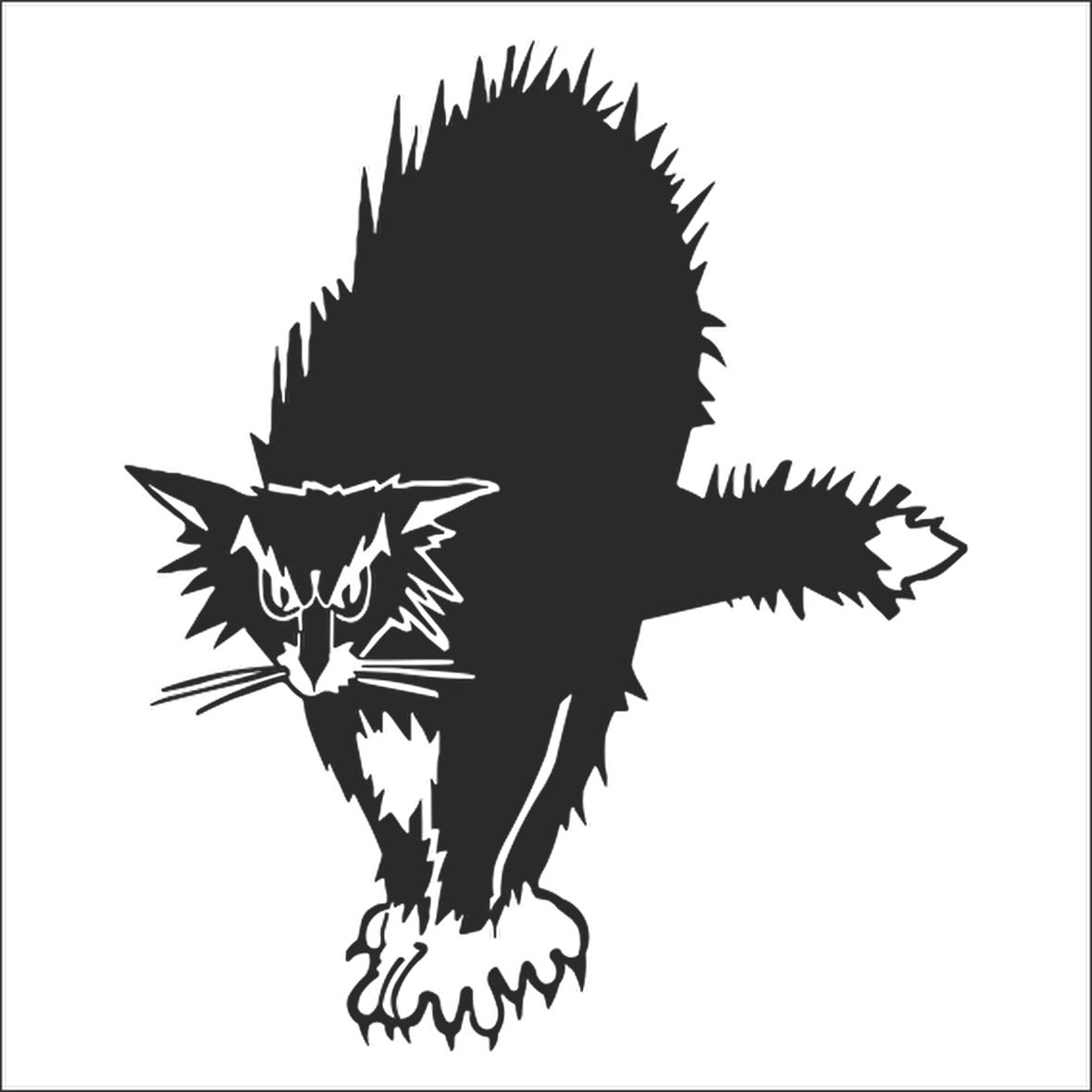 KEDİ  FOLYO STİCKER