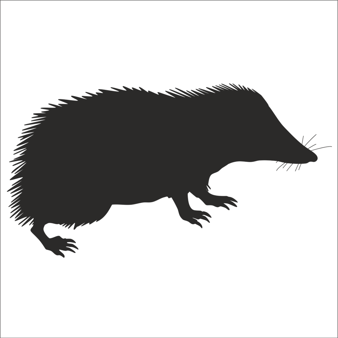 KİRPİ  FOLYO STİCKER