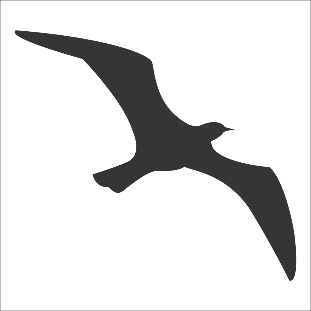 KUŞ FOLYO STİCKER