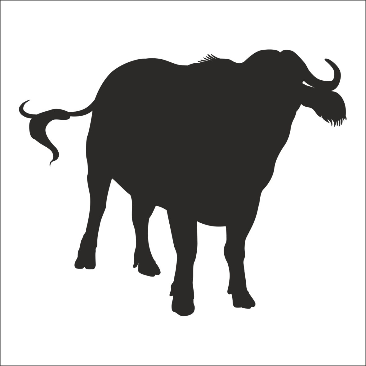 MANDA  FOLYO STİCKER