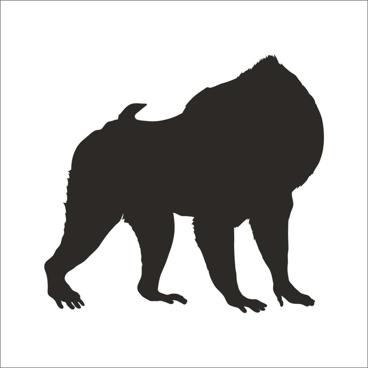 MAYMUN  FOLYO STİCKER