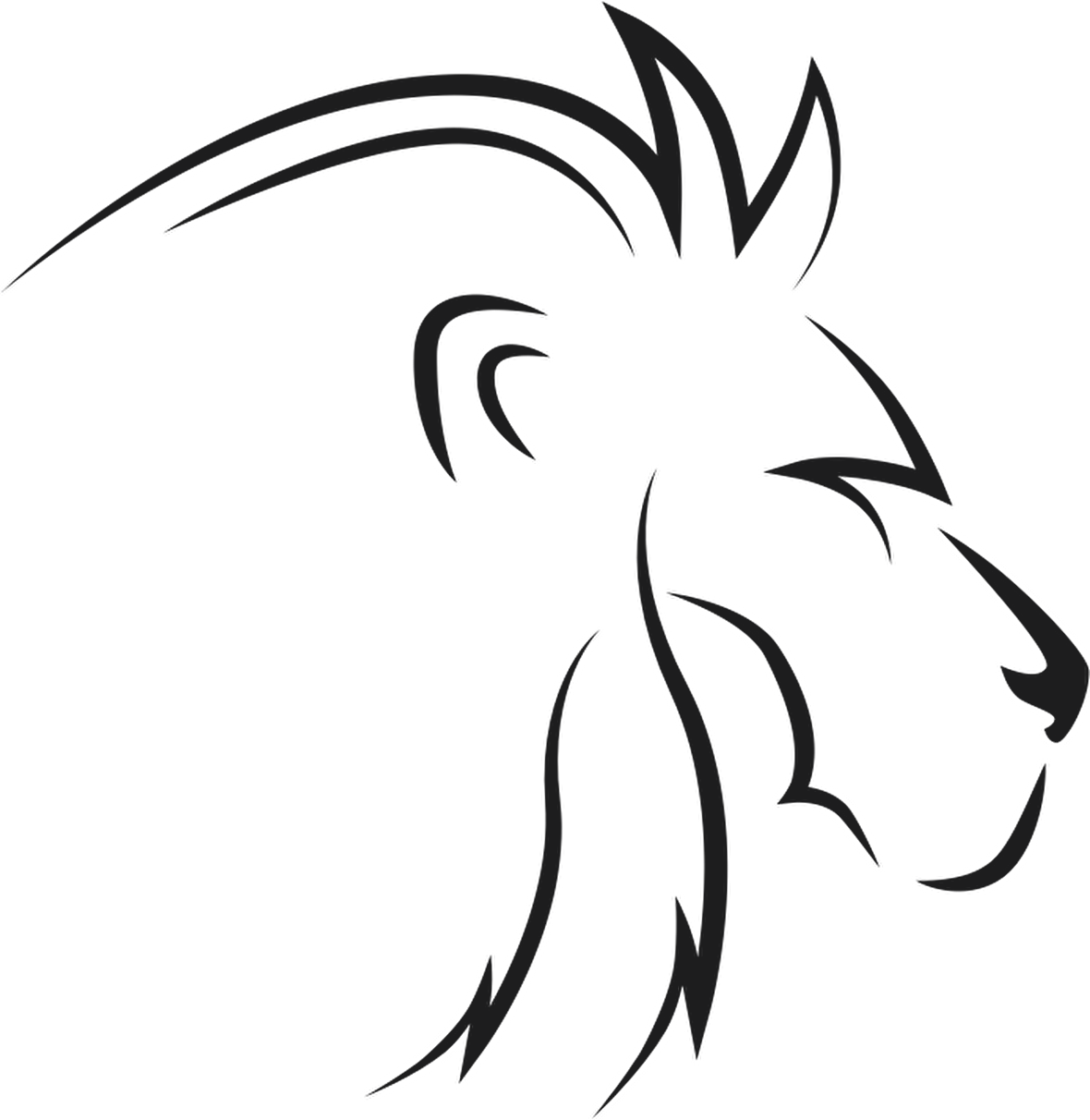 ASLAN 5 FOLYO STİCKER