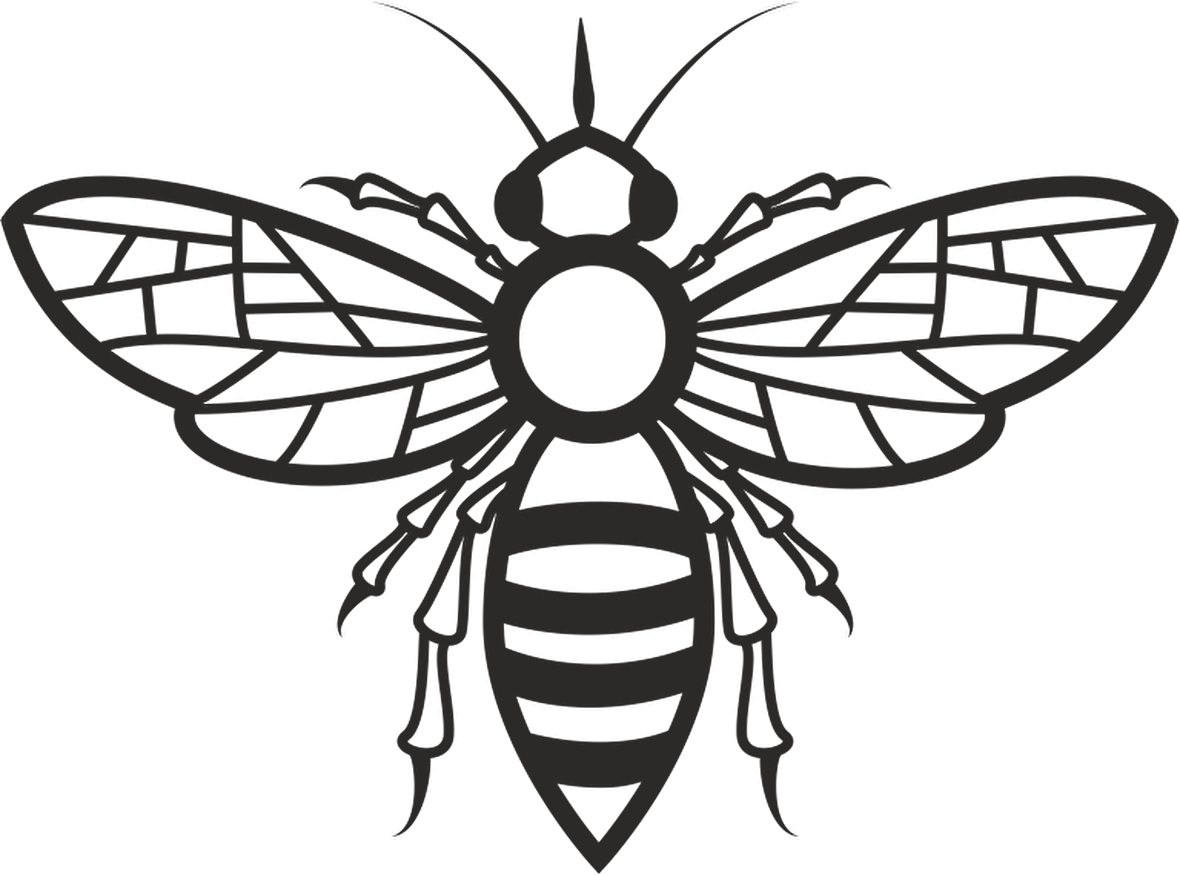 BAL ARISI FOLYO STİCKER