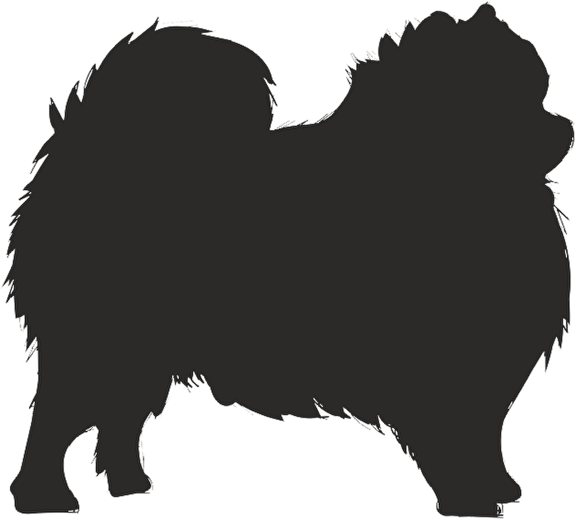 KÖPEK FOLYO STİCKER