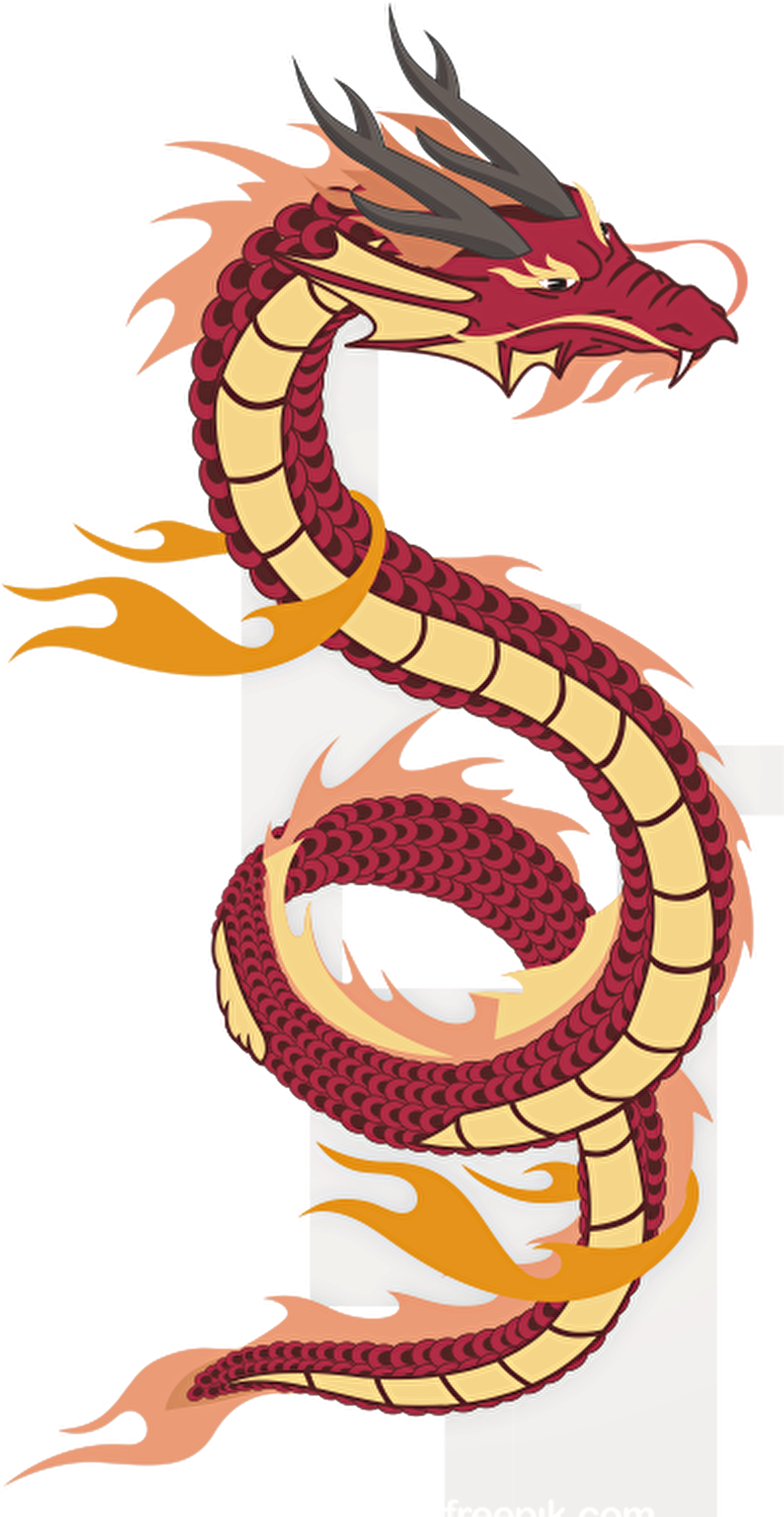 EJDERHA FOLYO STİCKER