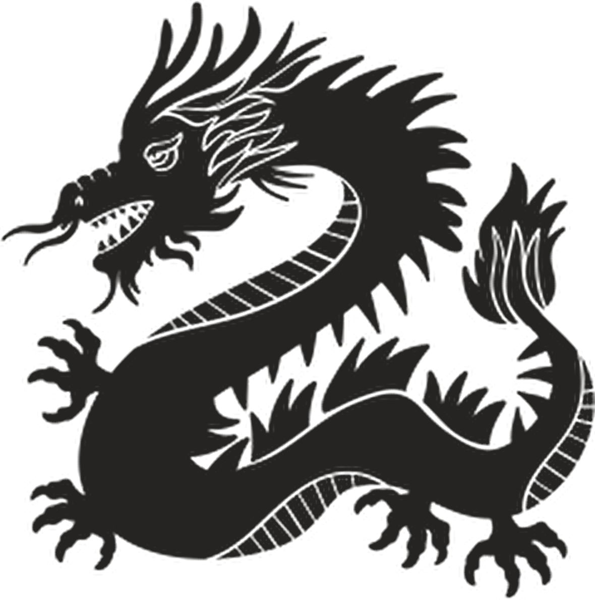 EJDERHA FOLYO STİCKER