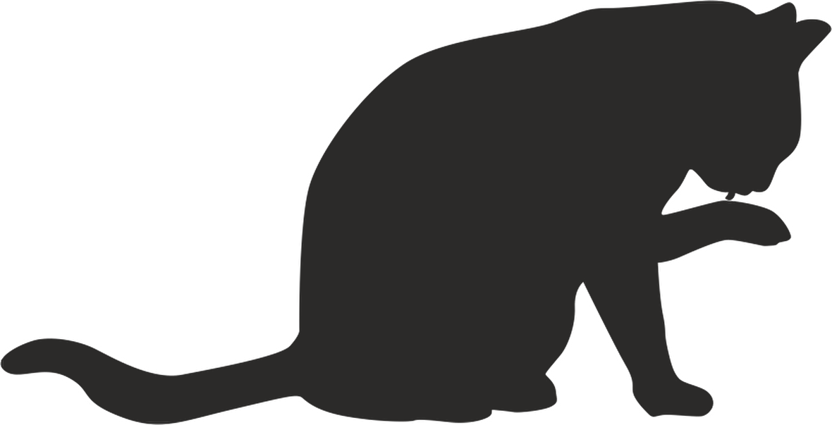 KEDİ FOLYO STİCKER