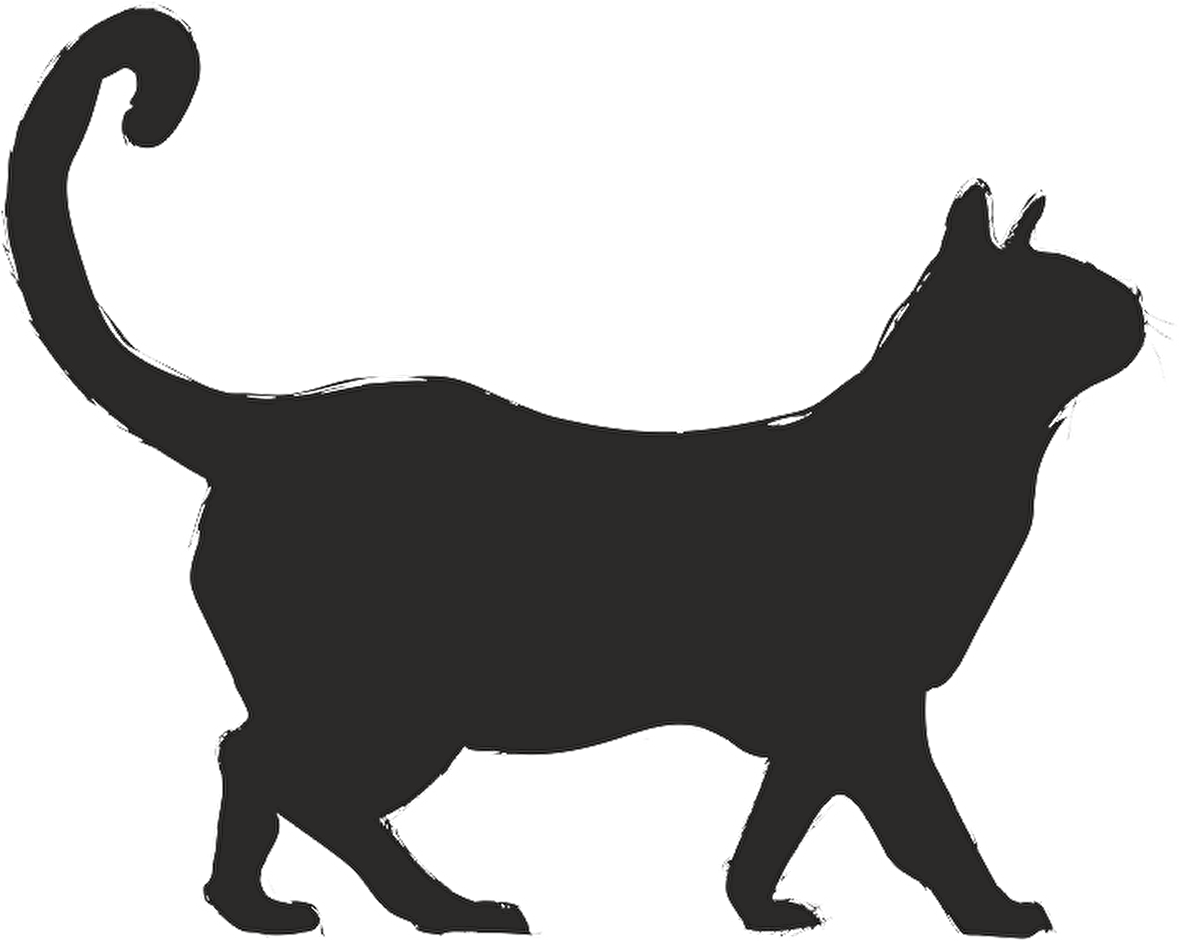 KEDİ FOLYO STİCKER