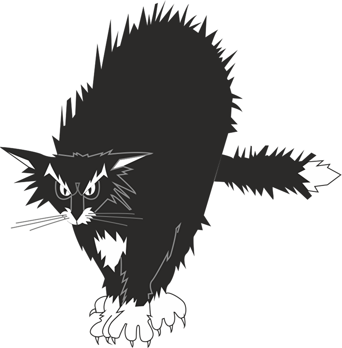 KEDİ FOLYO STİCKER