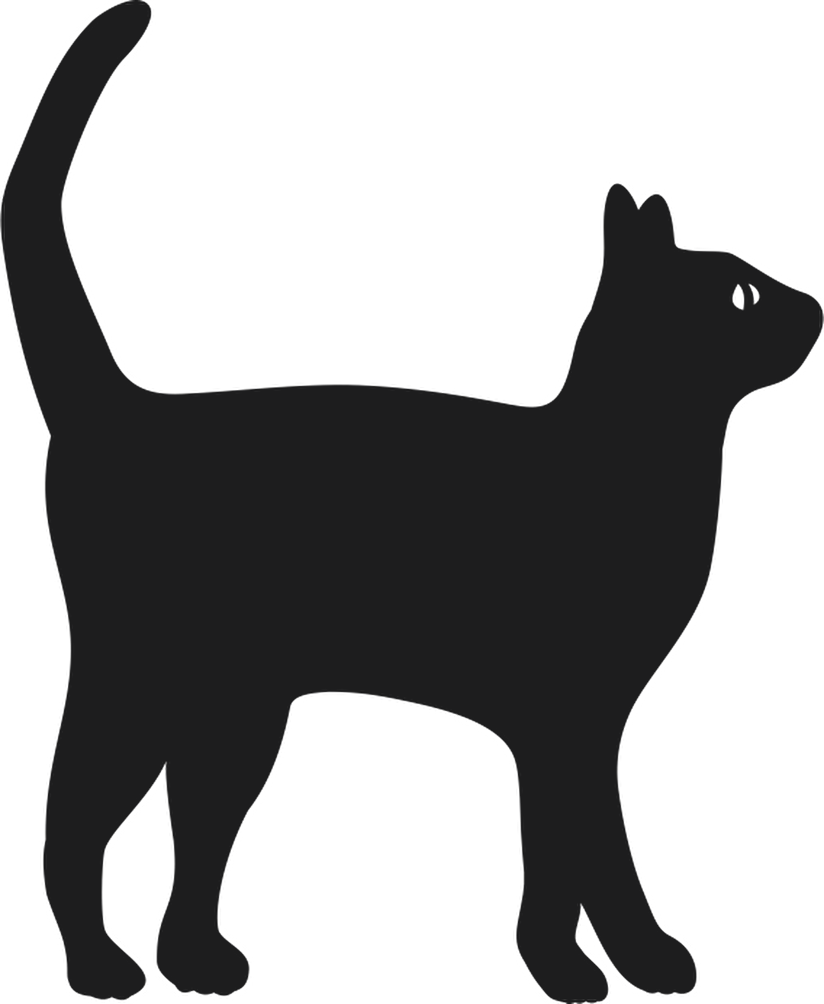 KEDİ FOLYO STİCKER