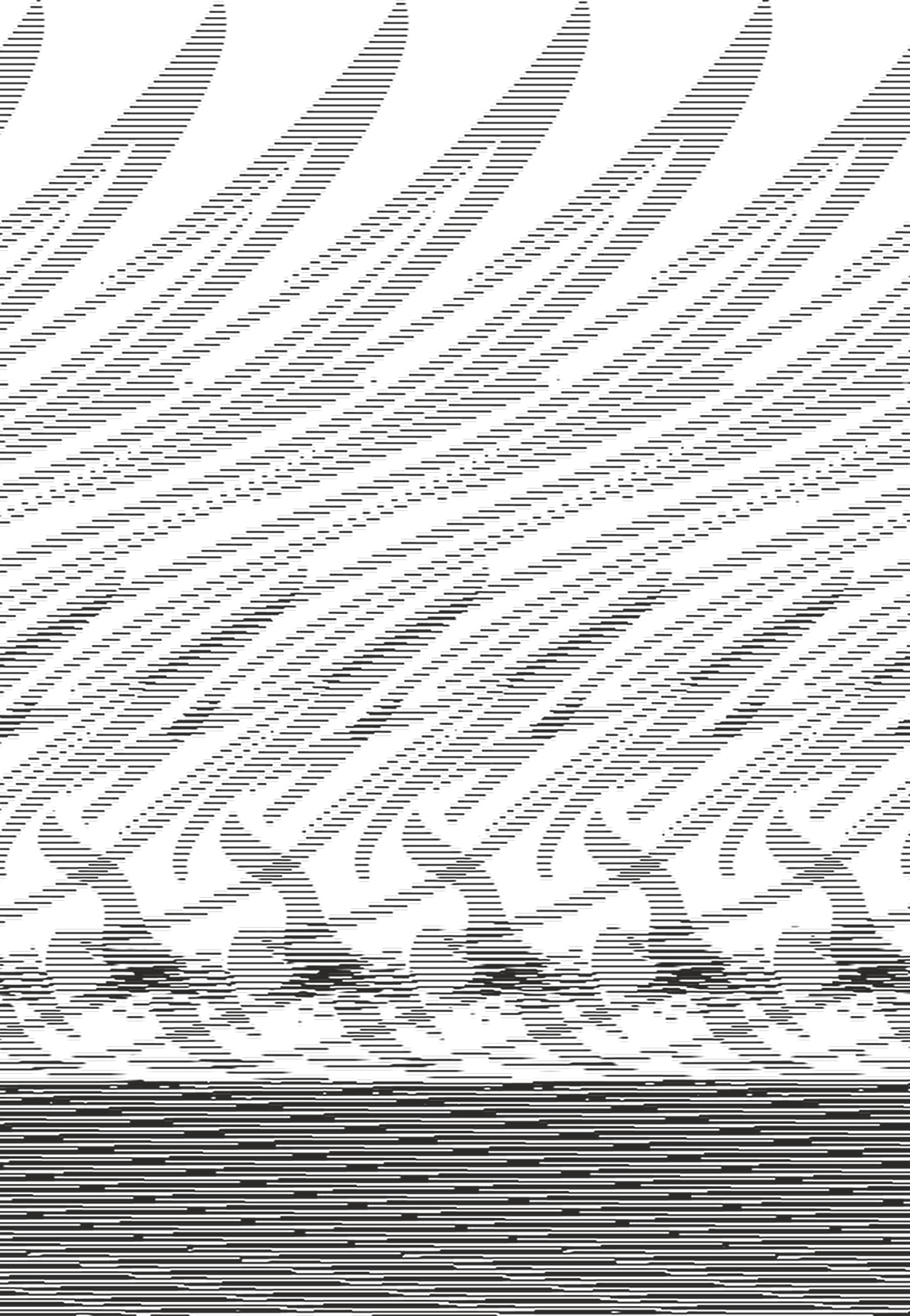 KÖPEK BALIĞI FOLYO STİCKER