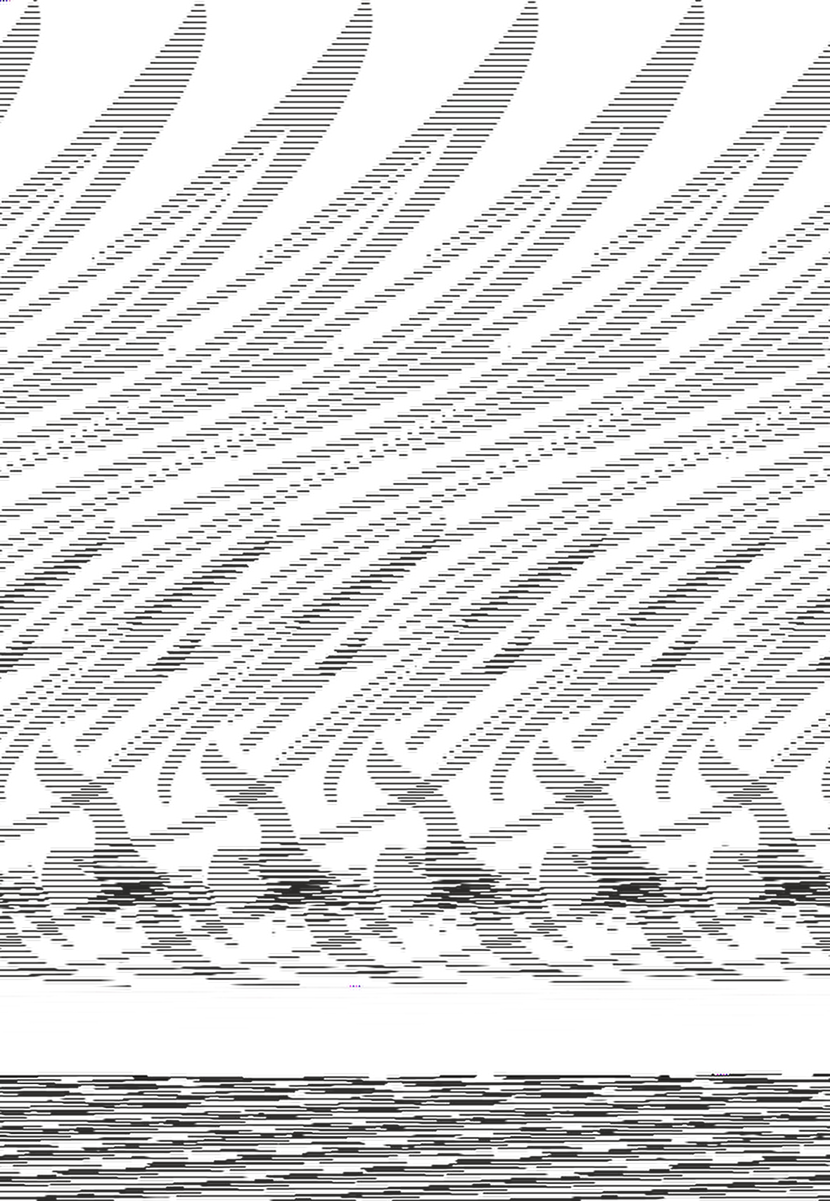 KÖPEK BALIĞI FOLYO STİCKER