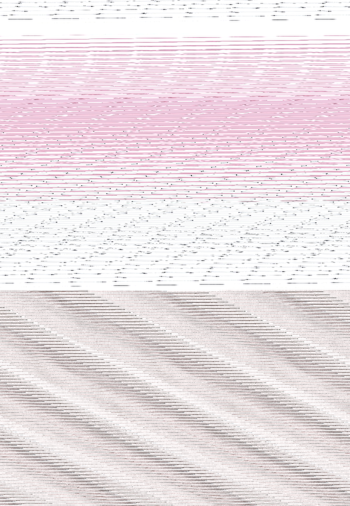 KÖPEK BALIĞI FOLYO STİCKER