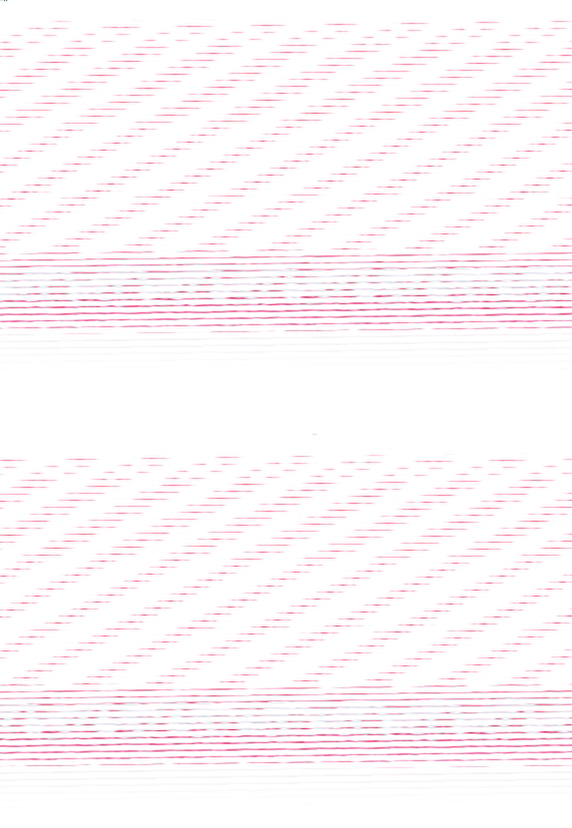 KÖPEK BALIĞI FOLYO STİCKER