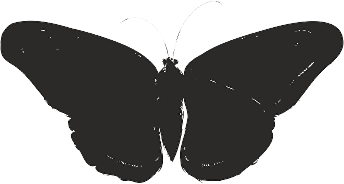 KELEBEK FOLYO STİCKER