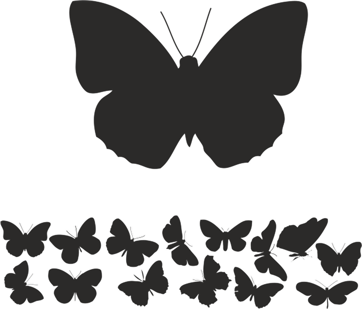 KELEBEK FOLYO STİCKER