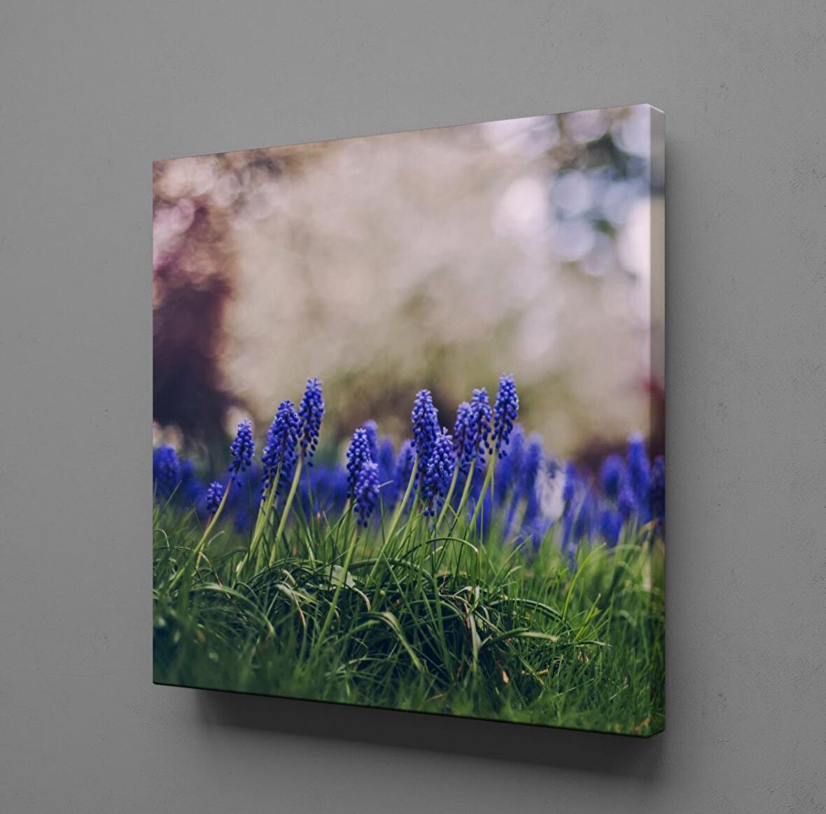 MOR ÇİÇEK TARLASI