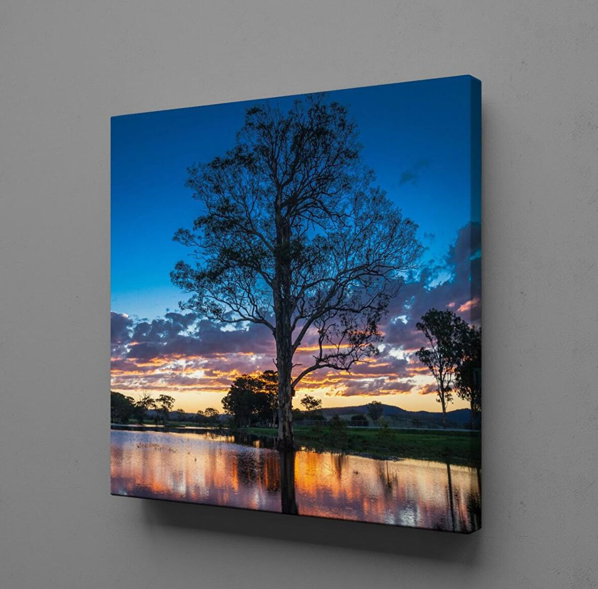 GÖL İÇİNDEKİ AĞAÇ