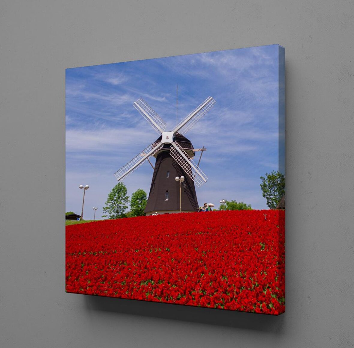 LALE TARLASINDA DEĞİRMEN