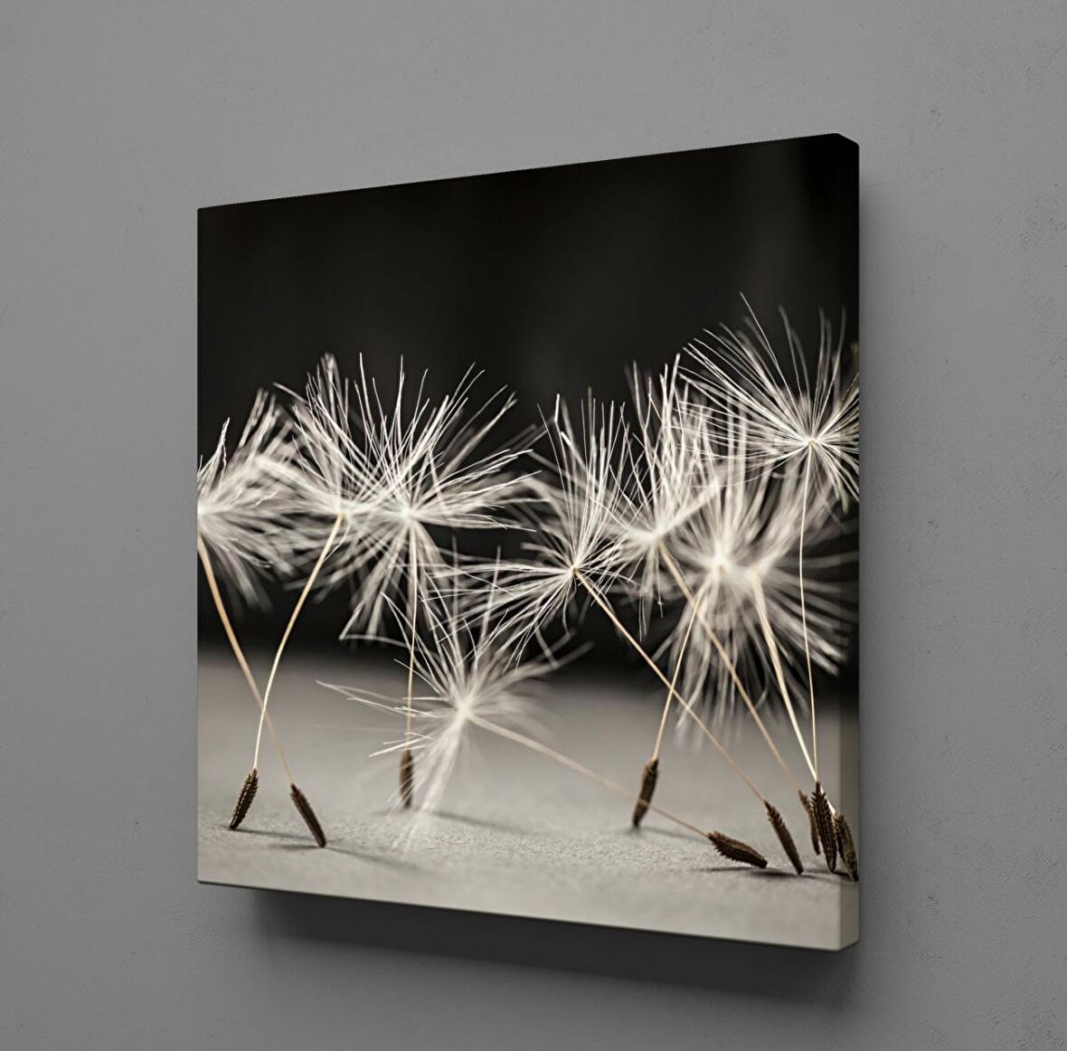 KARAHİNDİBA ÇİÇEĞİ