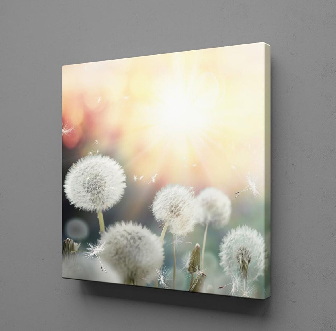 KARAHİNDİBA ÇİÇEKLERİ