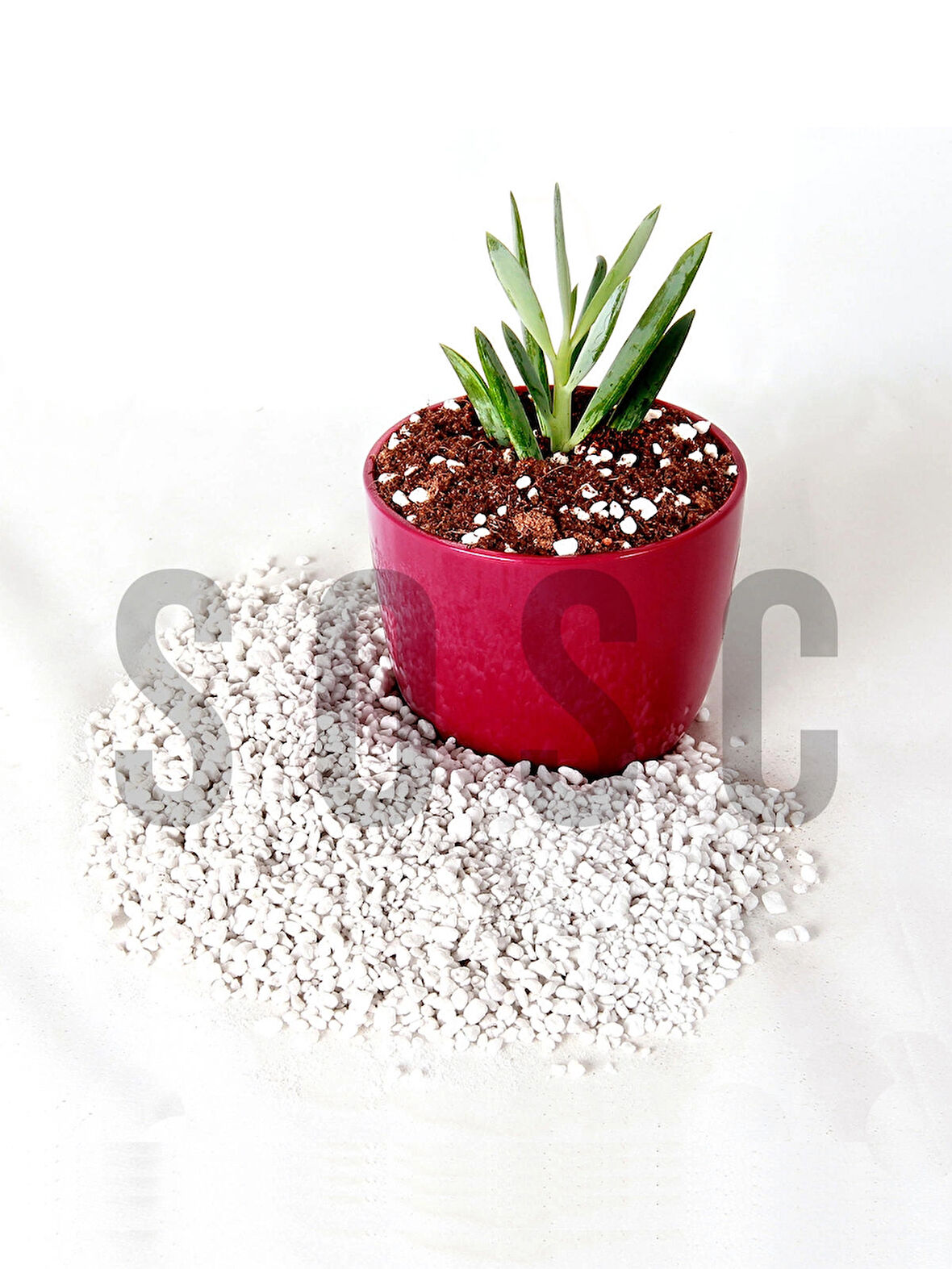 SOSC Natural 10 Lt Tarım Perliti Köklendirici Perlit - Drenaj Düzenleyici Premium Kalite