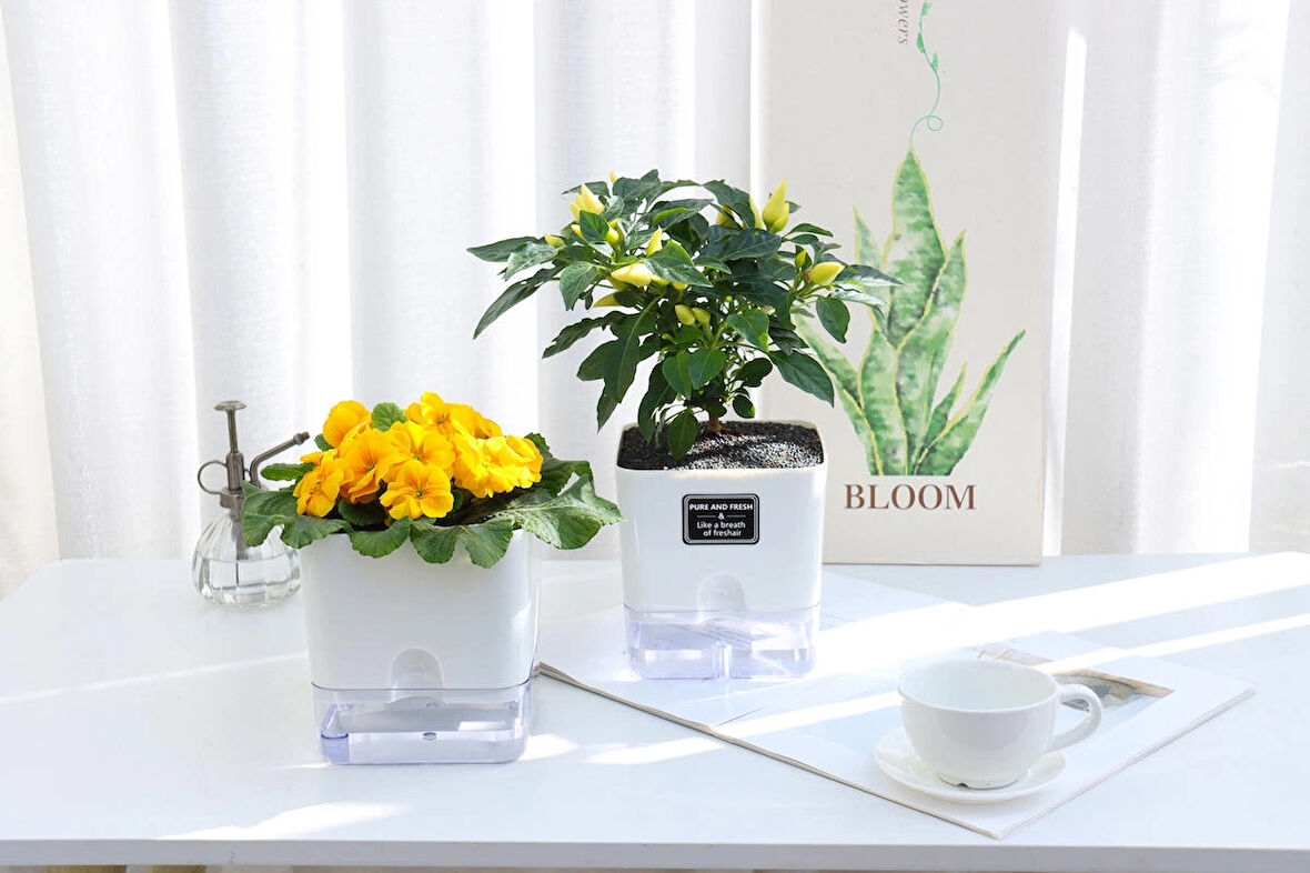 Otomatik Sulamalı Modern Mini Kare Akıllı Saksı