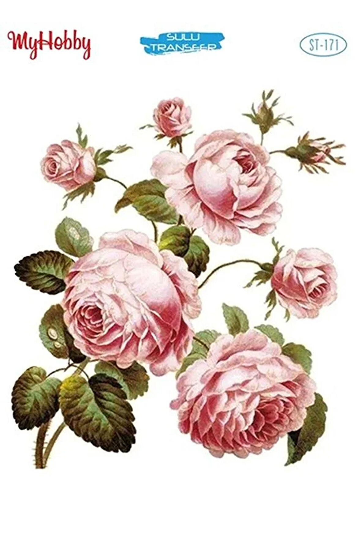 St 171 Sulu Transfer 25x35