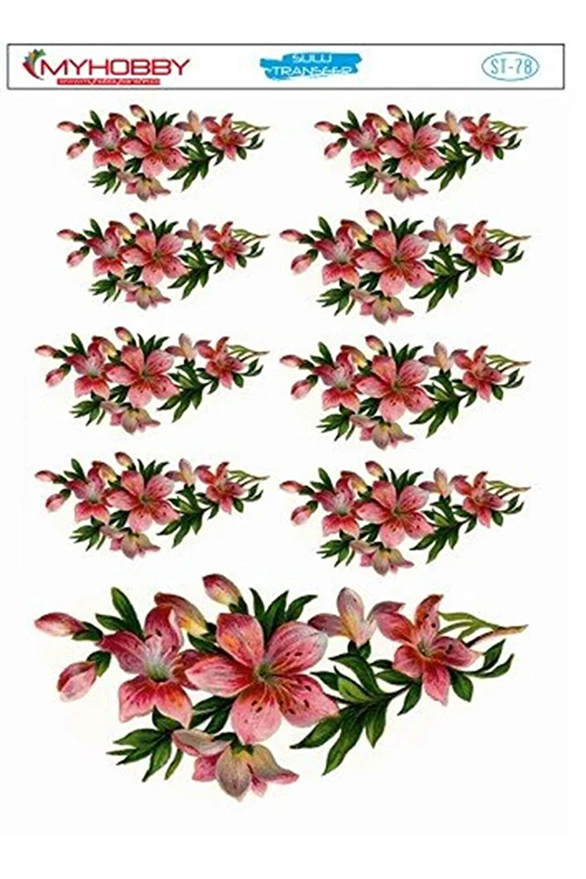 St 078 Sulu Transfer 25x35