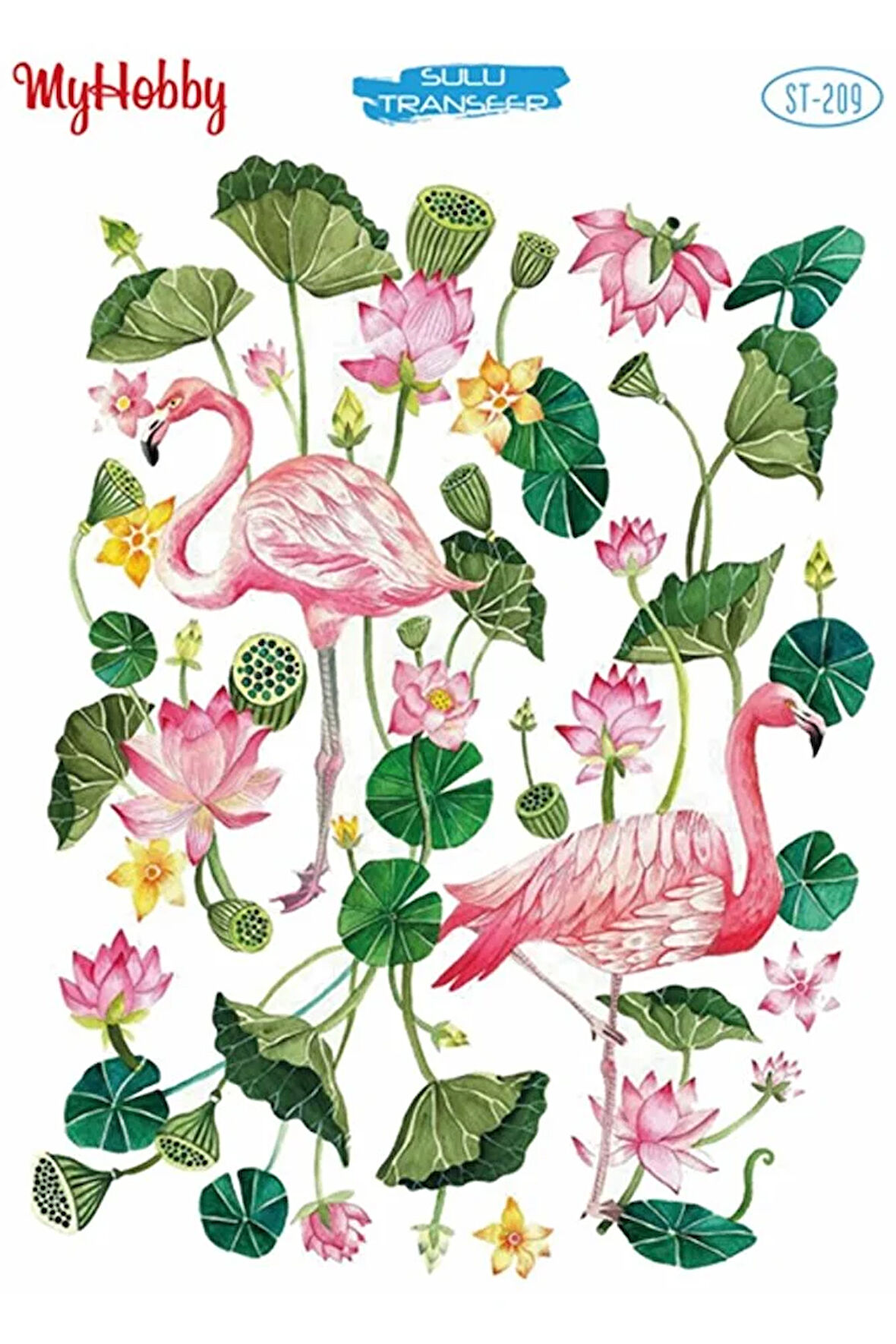 St 209 Flamingo Ve Çiçekli Sulu Transfer 25x35