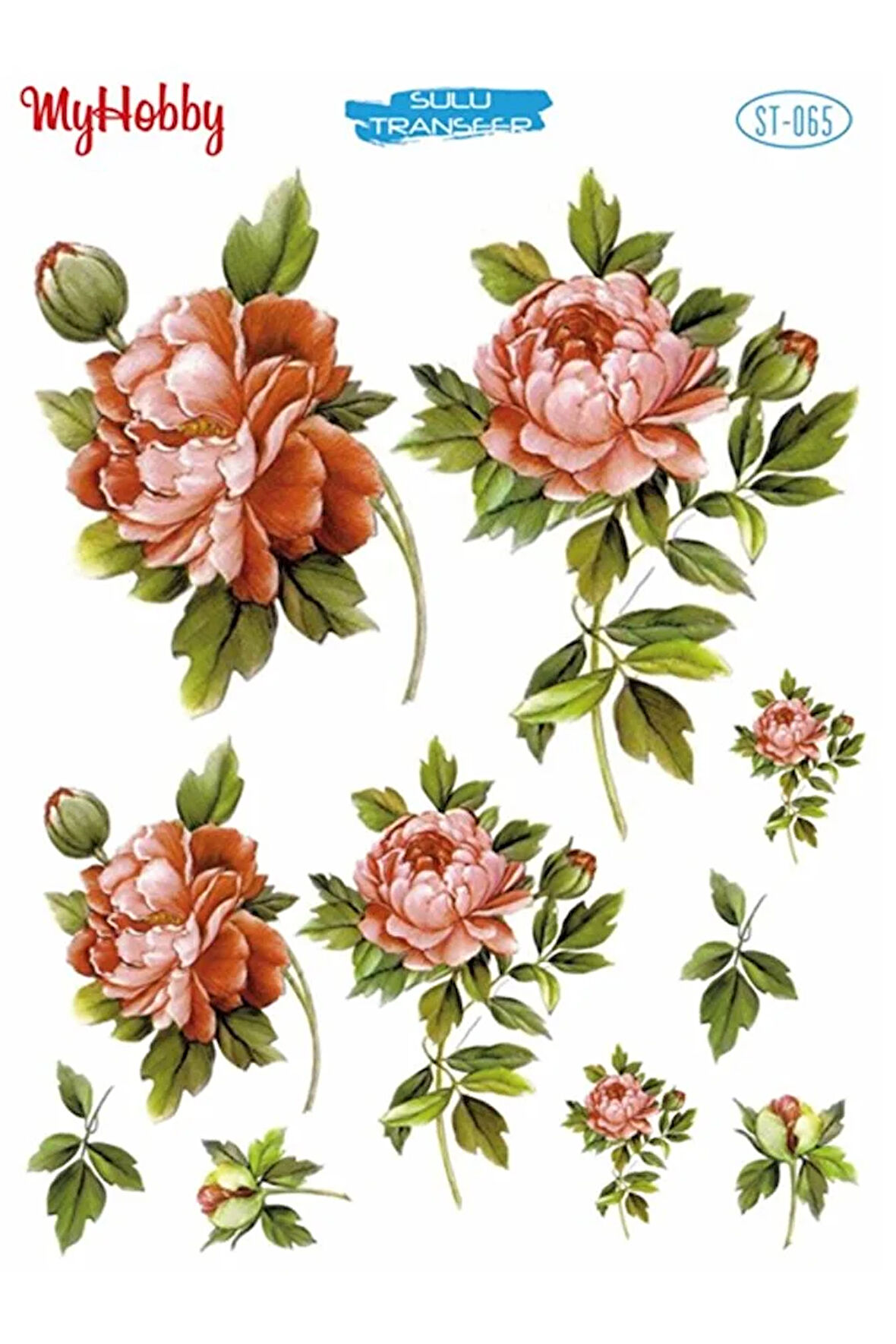 St 065 Pembe Gül Desenli Sulu Transfer 25x35
