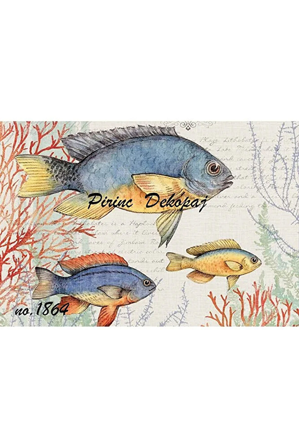 1864 Marine Serisi, Balıklar Pirinç Dekopaj 30x42