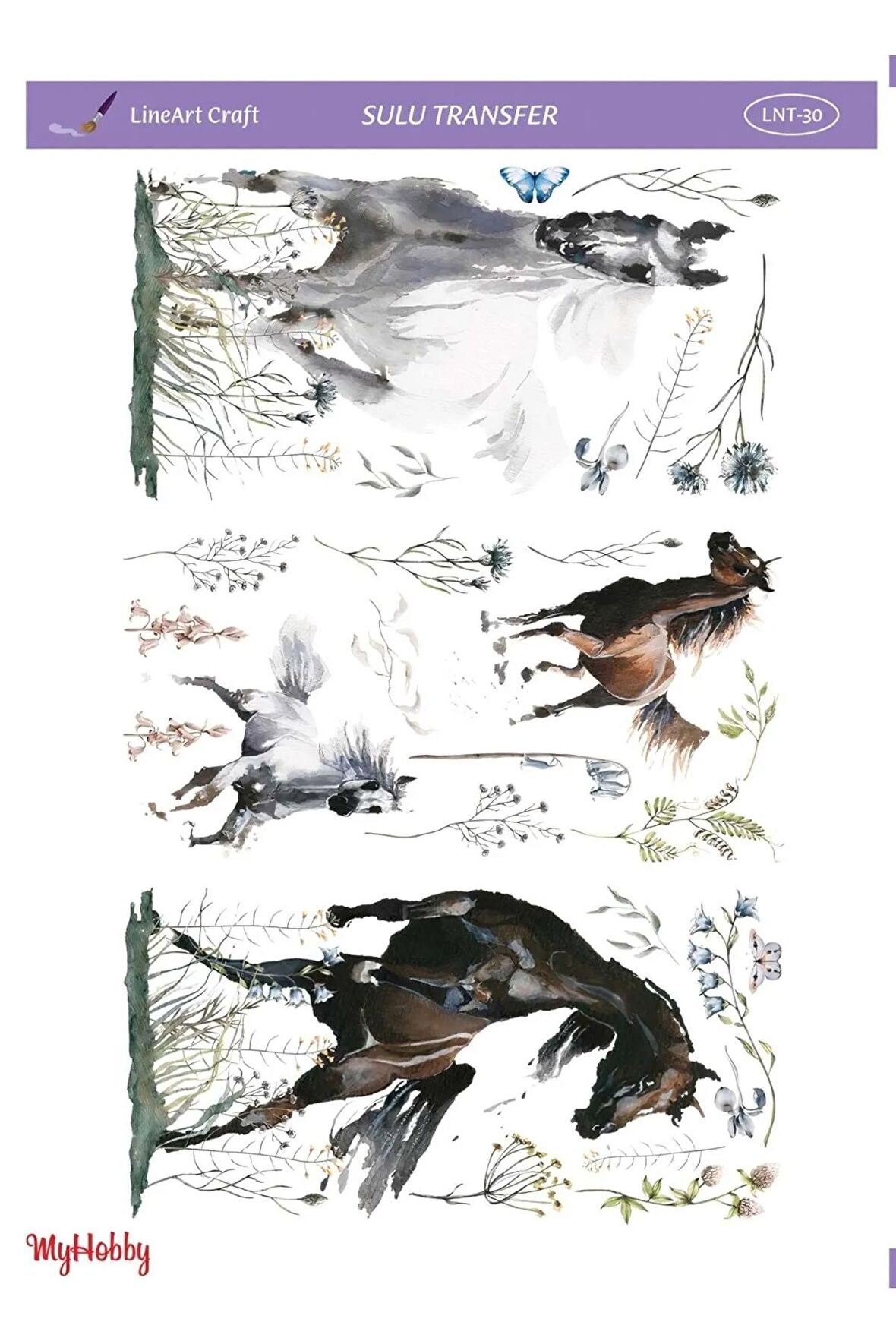 Lineart At Desenli Sulu Transfer Lnt-30 25x35